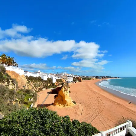 Marina Garden Palm Tree By Be Cherish Albufeira